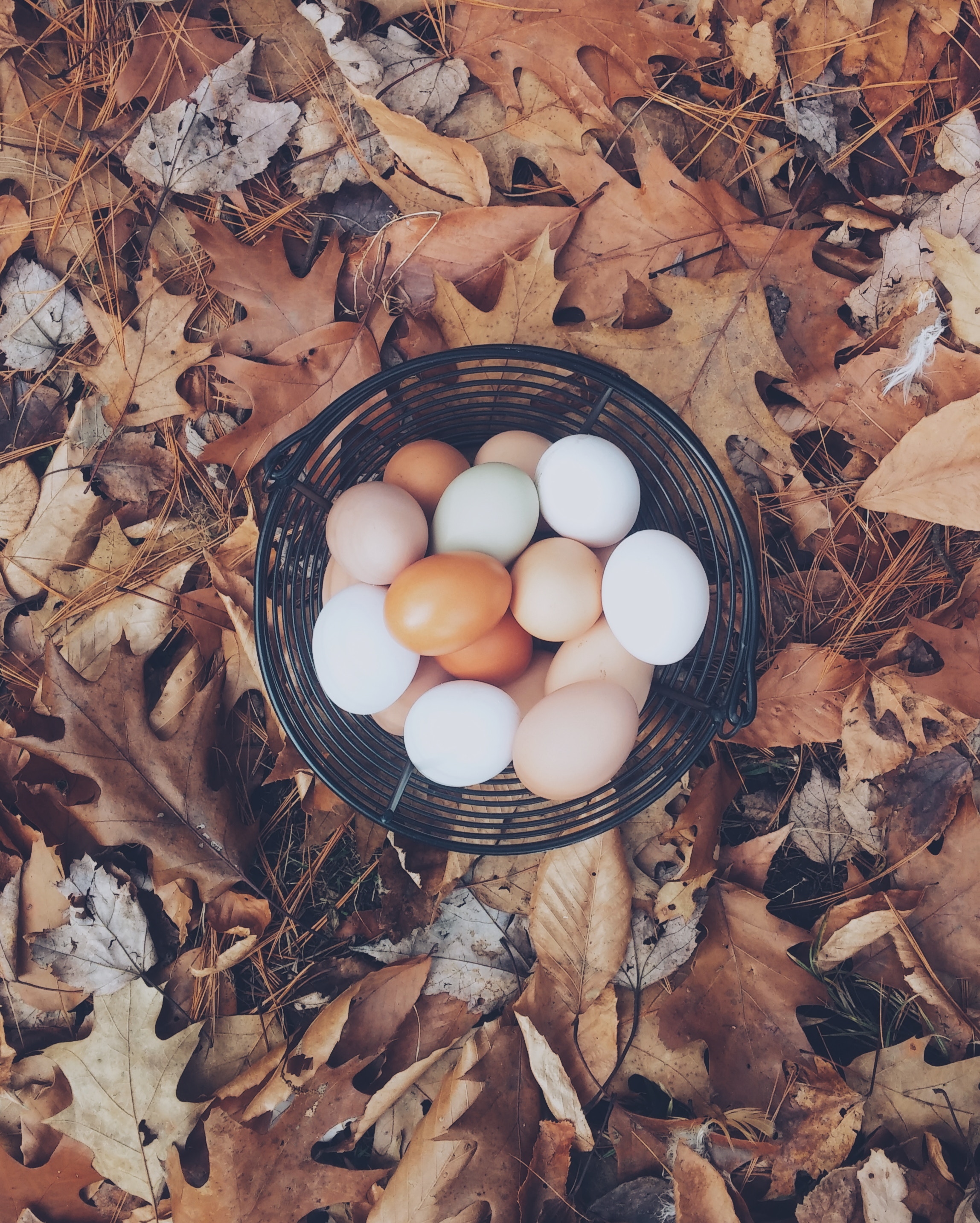 autumn-mott-45386-unsplash